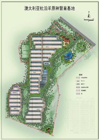 点击查看详细信息<br>标题：澳大利亚原种杜泊羊繁育基地 阅读次数：3969