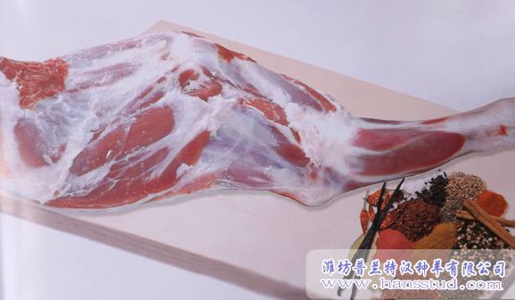 带腿骨羊肉