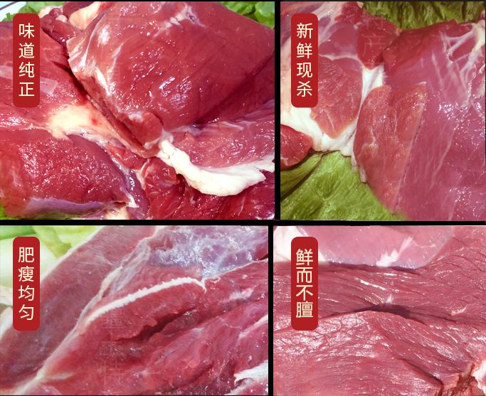 点击查看详细信息<br>标题：普兰特汉-精品羔羊肉 阅读次数：2156