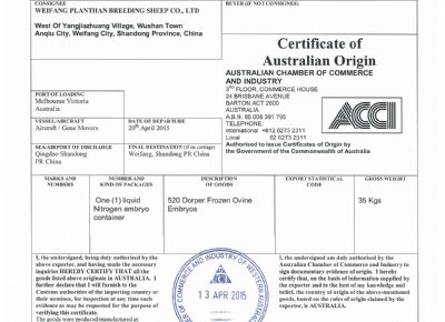 点击查看详细信息<br>标题：黑头杜泊羊-澳洲产地证 阅读次数：2458